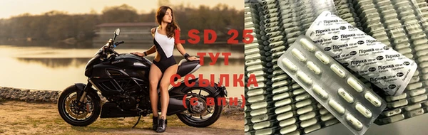 экстази Нефтекумск