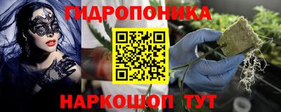 2c-b Гусиноозёрск
