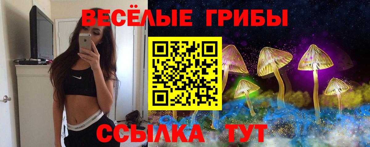 Псков  Псилоцибиновые грибы MAGIC MUSHROOMS  Псилоцибиновые грибы мухоморы  Вход с VPN 